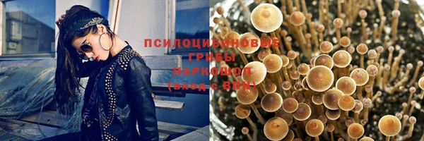 твердый Баксан